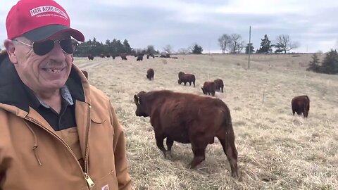 Meet a veteran that loves grazing!