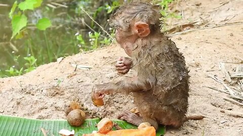 Oh My Goodness! baby kley rises from the ground to eat-19