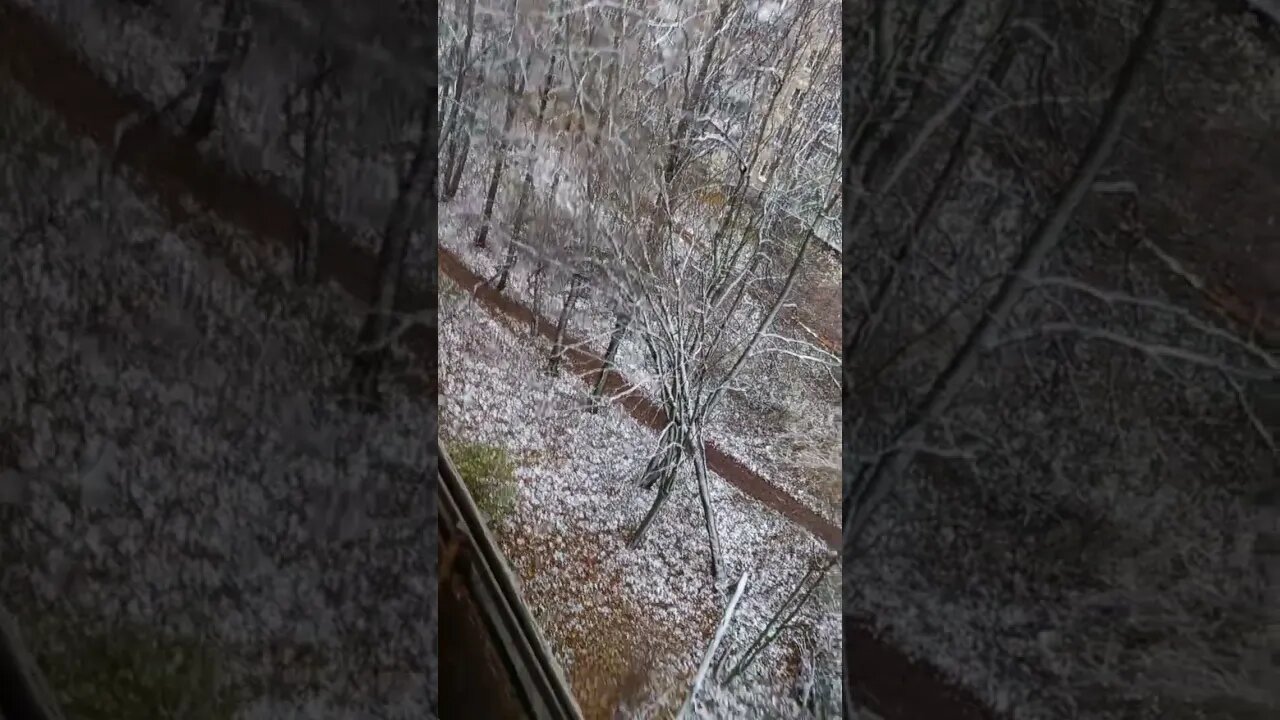 First snow this year came unexpected 😱🥶