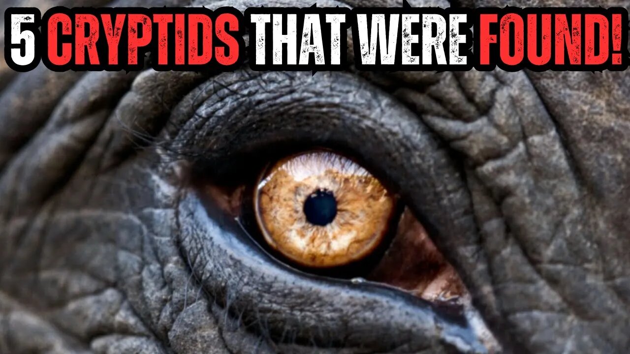 5 Cryptids That Turned Out To Be Real!