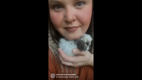 Baby Bunnies in a Basket