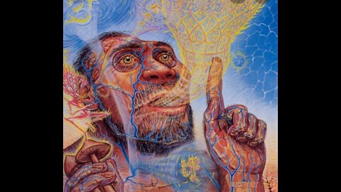 (Stoned Ape Theory) Paul Stamets and Joe Rogan