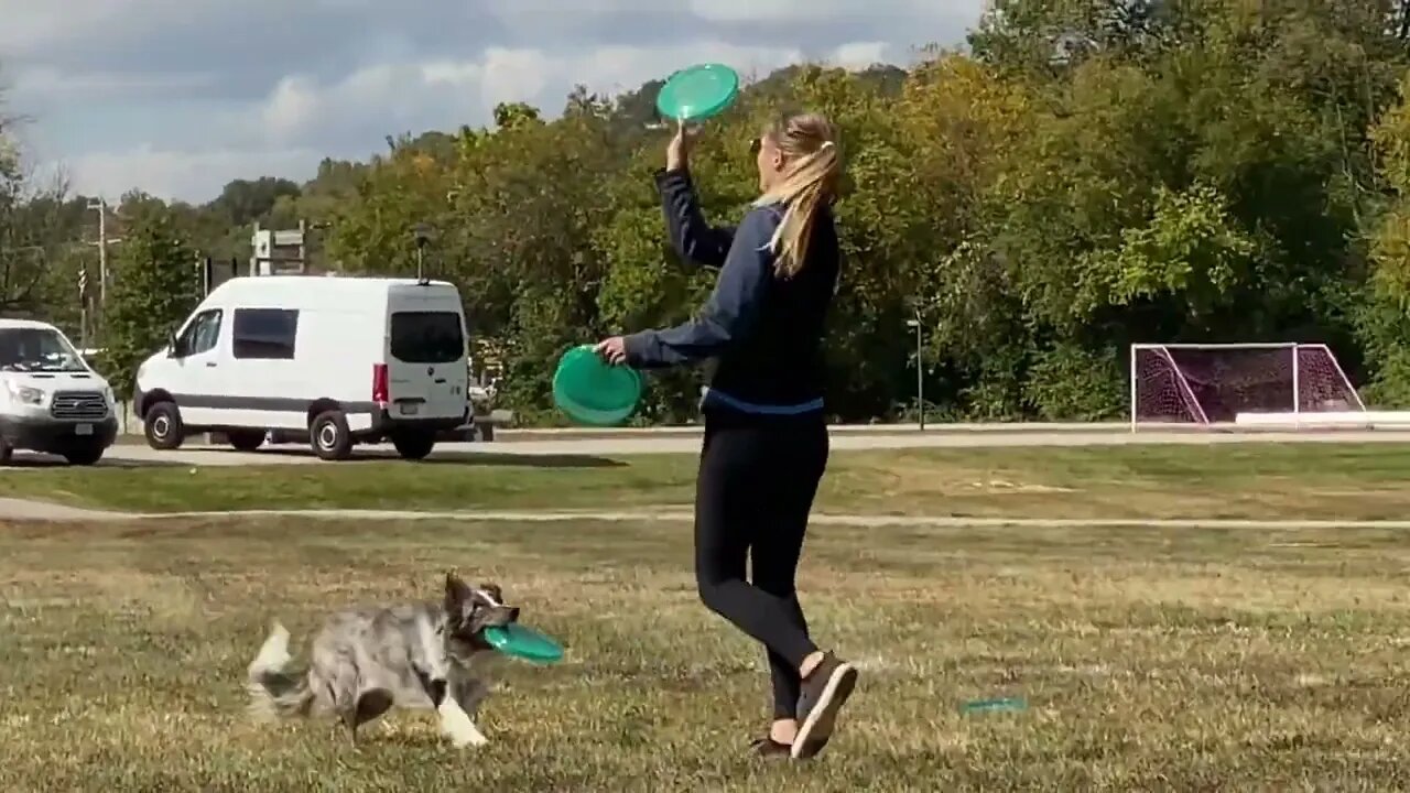 Sara & Hawkeye 2022 USDDN LCQ