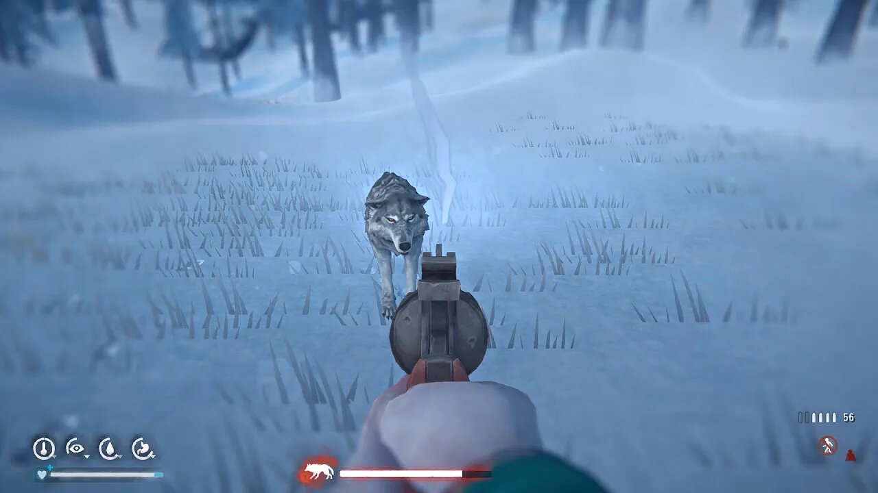 Long Dark Stalker S5 E142 (BI) The Timberwolves Set A Trap with a Buggy Bear