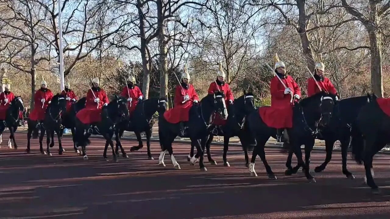 The housrhold cavalry heading to Buckingham Palace on the mall #buckinghampalace