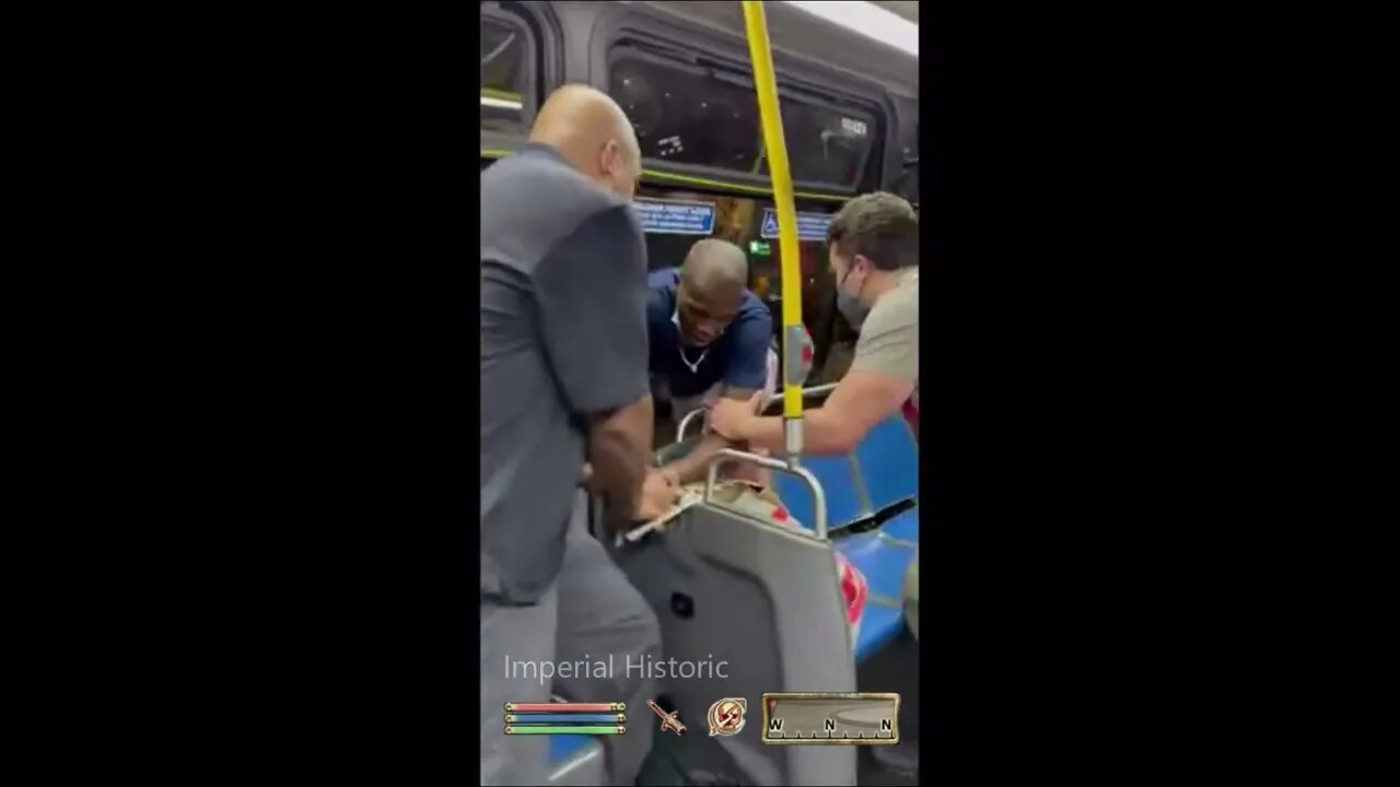 Redguard Skooma Bus Battle - Oblivion NPC