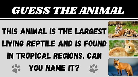 "Super Fun Animal Quiz Challenge: Fun trivia"🐯🦝