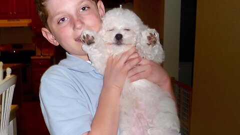 Videos of Quincy as a Puppy! (Part 2)
