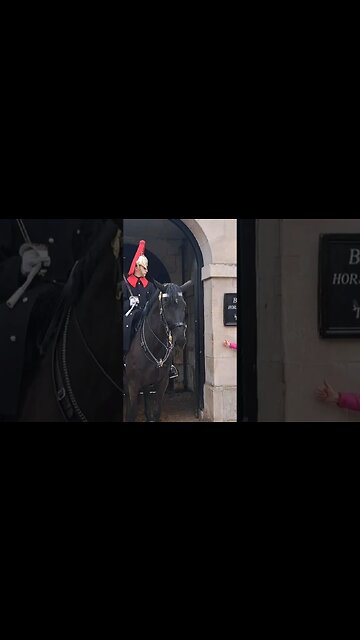 The guard gives her that look #horseguardsparade