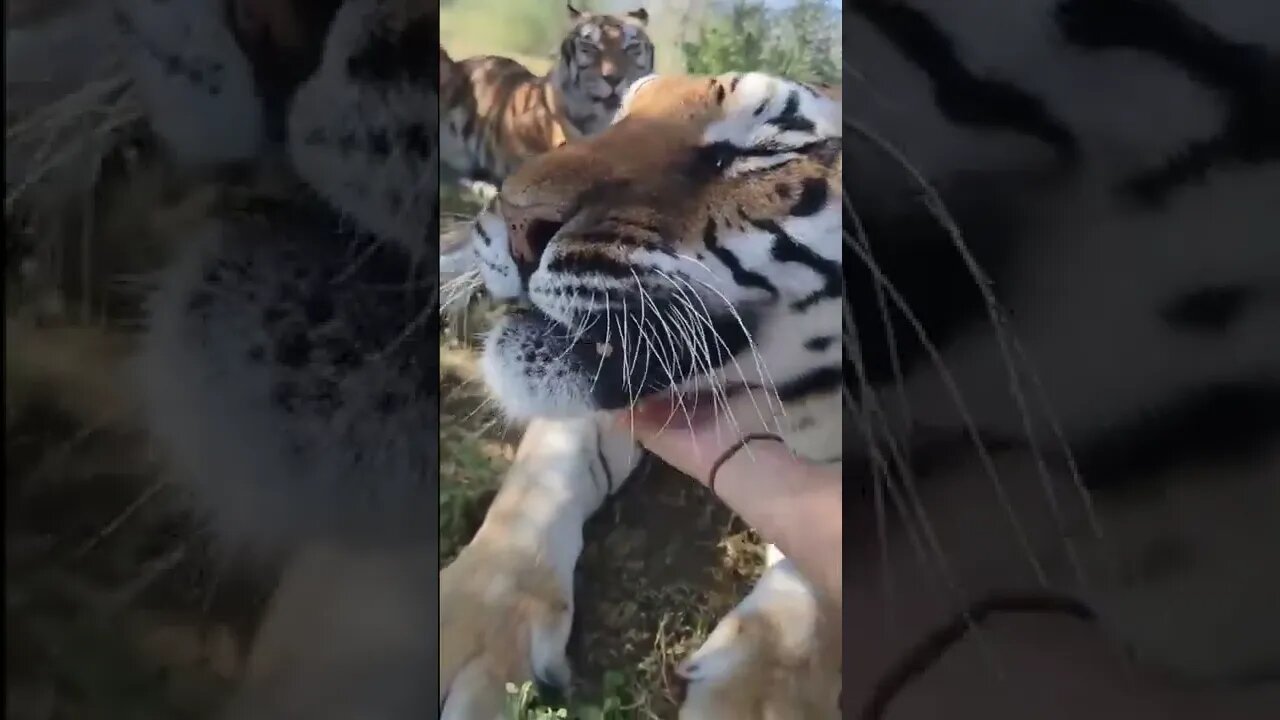 Cuteeee