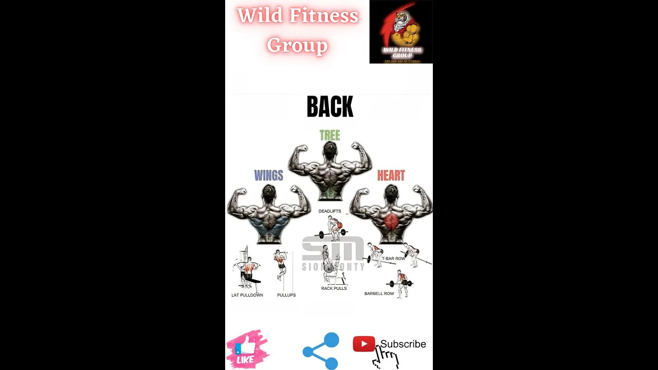 🔥Build your back🔥#fitness🔥#wildfitnessgroup🔥#shorts🔥