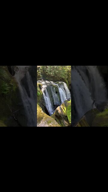 This was very cool #vancityadventure #vancity #shortvideo