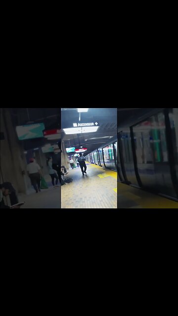 Bonaventure Metro aura #montreal #traintravel #viralvideo #travel