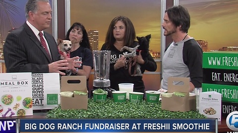 Big Dog Ranch fundraiser at Freshii in Jupiter Dec. 3