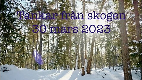 Tankar från skogen 30 mars 2023