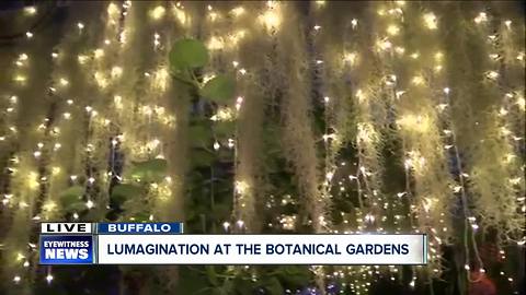 Lumagination 2018 at the botanical gardens