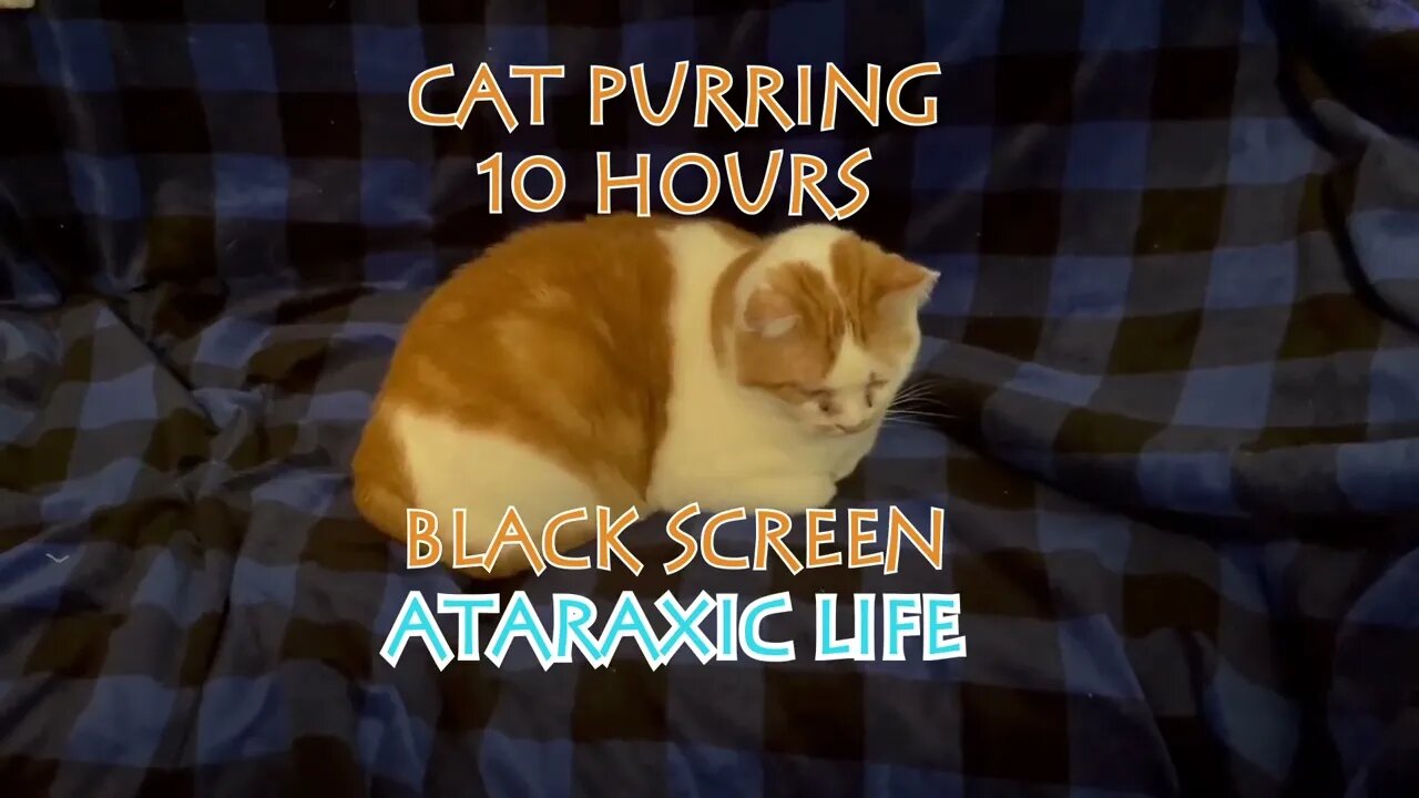 Sleep - Cat Purring Garf - 10 hours Black Screen