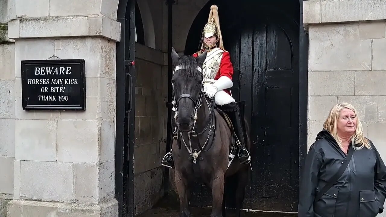 She did not learn from her sister The Horse bites #horseguardsparade