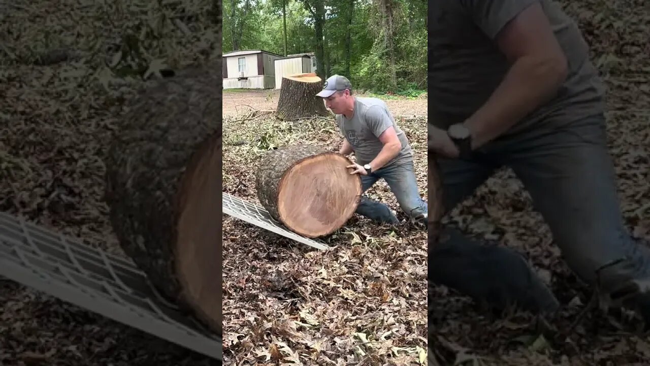 Wow stacking crazy big log by hand - firewood in Louisiana