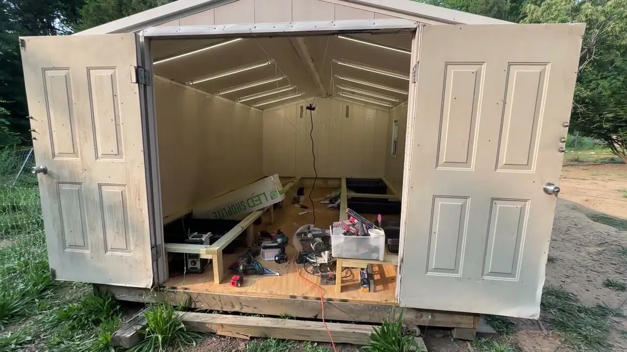 Poultry Brooder Shed Update.