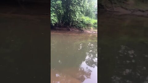 Happy 4th of July! Fishing at the creek early morning. #fishing #outdoors #nature