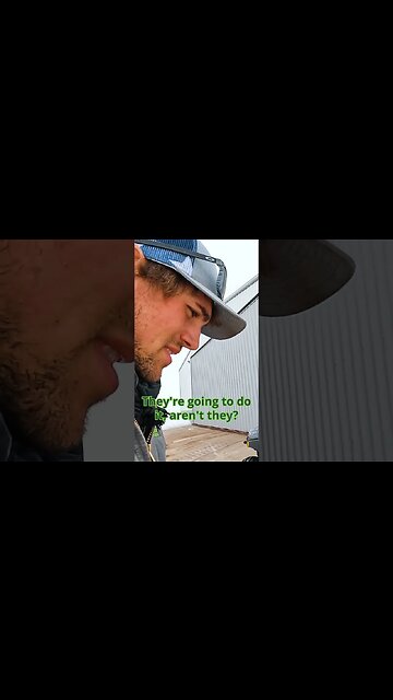 New Side by Side Why Not!!