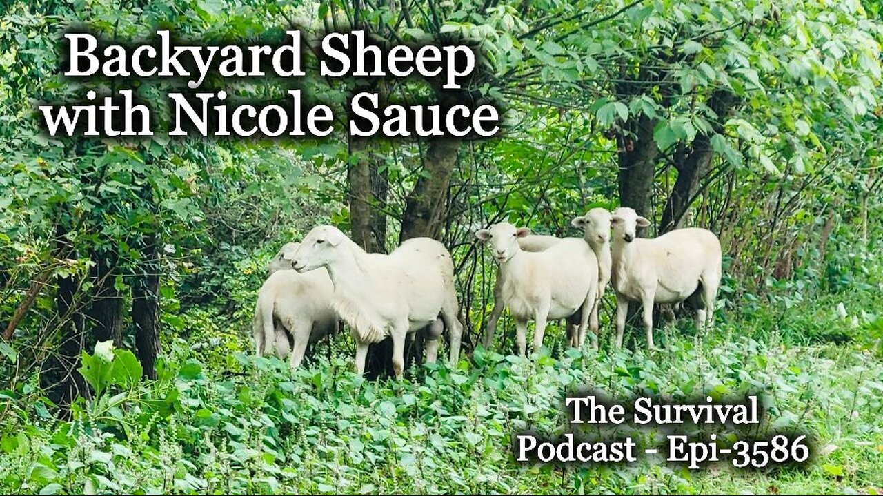 Backyard Sheep with Nicole Sauce - Epi-3586