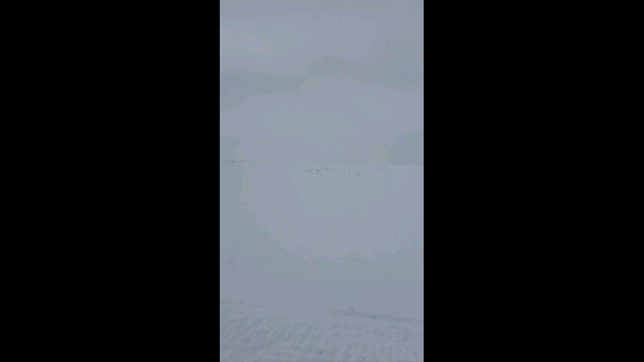 South Pole Station