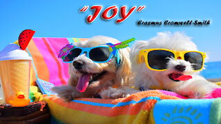 JOY (The Pinnacle Of Happiness)