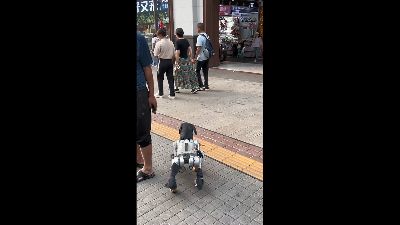 new funny video 😂