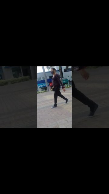 os pombos na praca pt12 #shorts