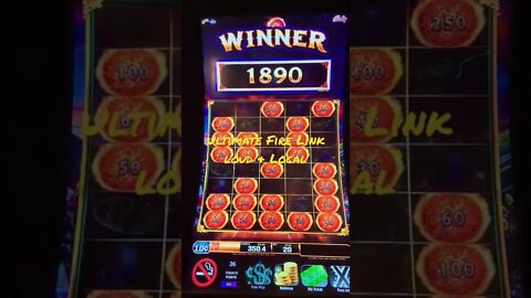 Big Win! Ultimate Fire Link Olivera Street Slots with Loud & Local