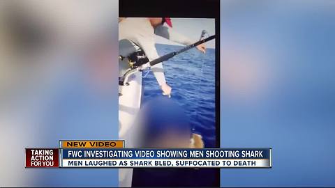 New shark abuse video shows man shooting hammerhead with handgun