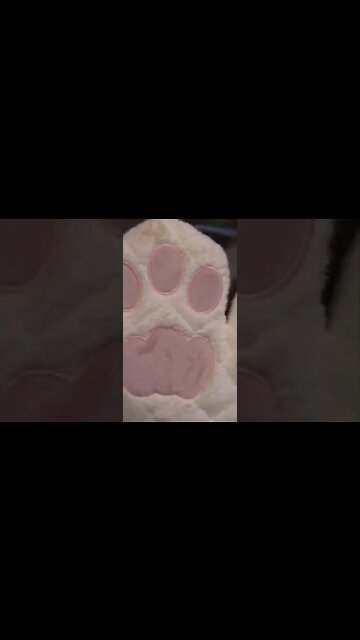 Cat Paw Oven Mitts #Shorts 😻