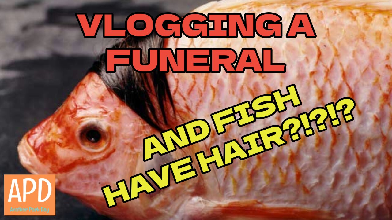 Vlogging a Funeral and Fish Have Hair?!?!?