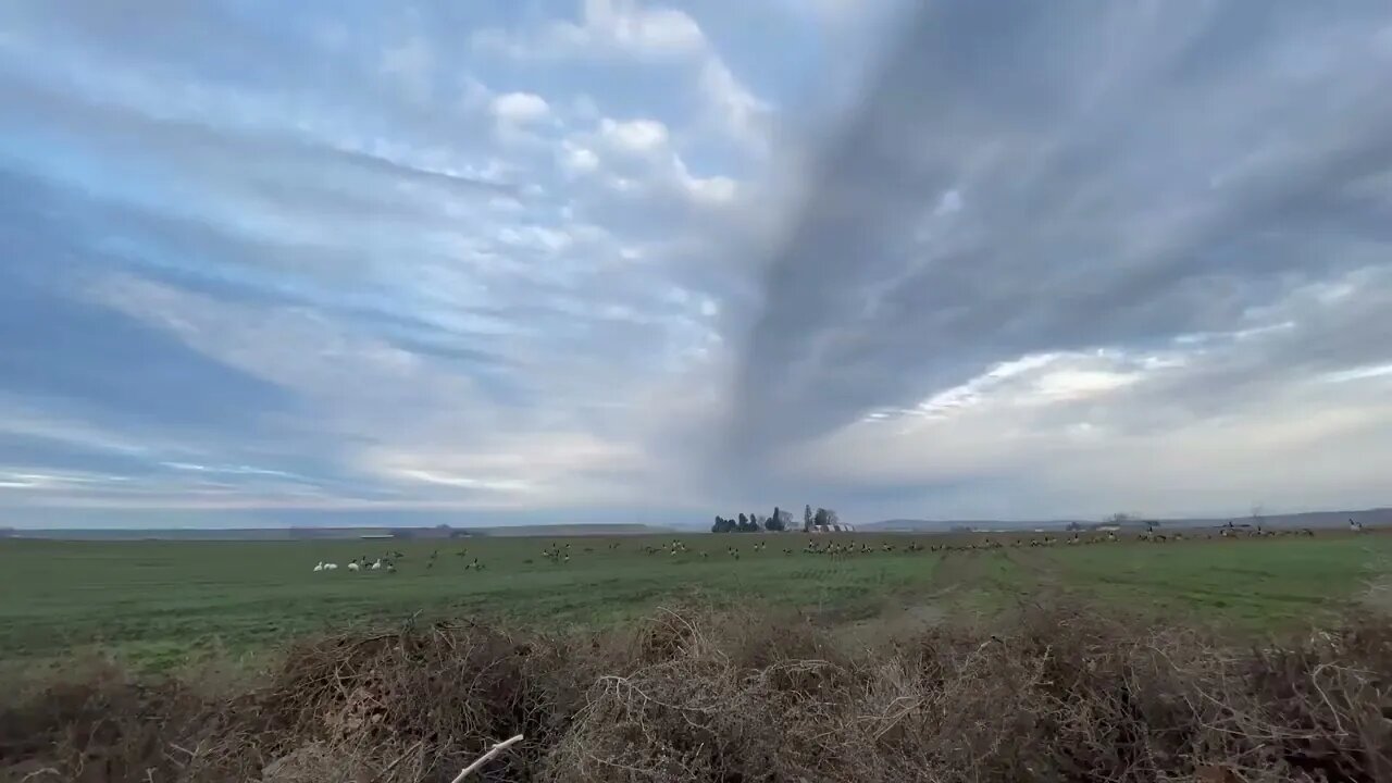 EPIC SNOW GOOSE HUNT!!!-6