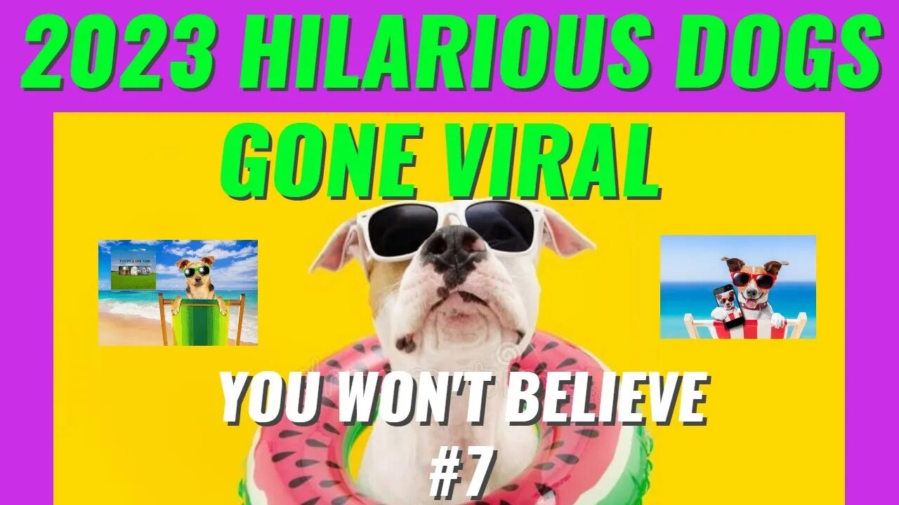 Laugh Out Loud with These Top 10 Funny Dog Videos of 2023 🤣 - Guaranteed to Brighten Your Day!🥰