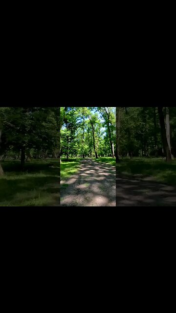 Calugareni Forest | Calugareni, Giurgiu | Ambiental music | 4k Virtual Tour | 🇷🇴