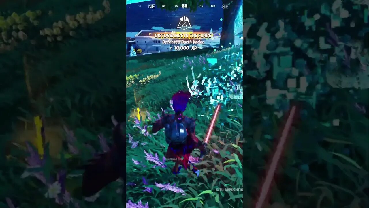 Sith Rule of 2 - Fortnite x Star Wars