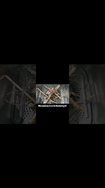 The Best Steak: on my Warmbond Grill #shorts #steak #grill