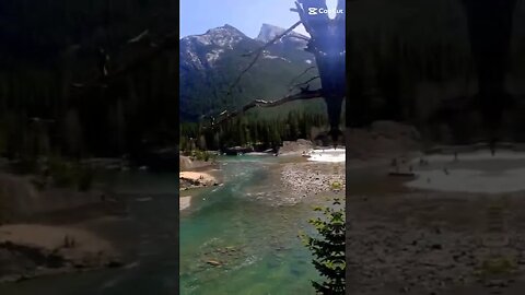 #canada #canadalife #shorts #viral #shortsvideo #trending #trendingshorts #trend #trendingvideo