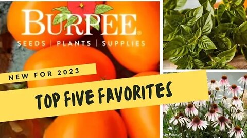 Top 5 New Favorites | Burpee 2023