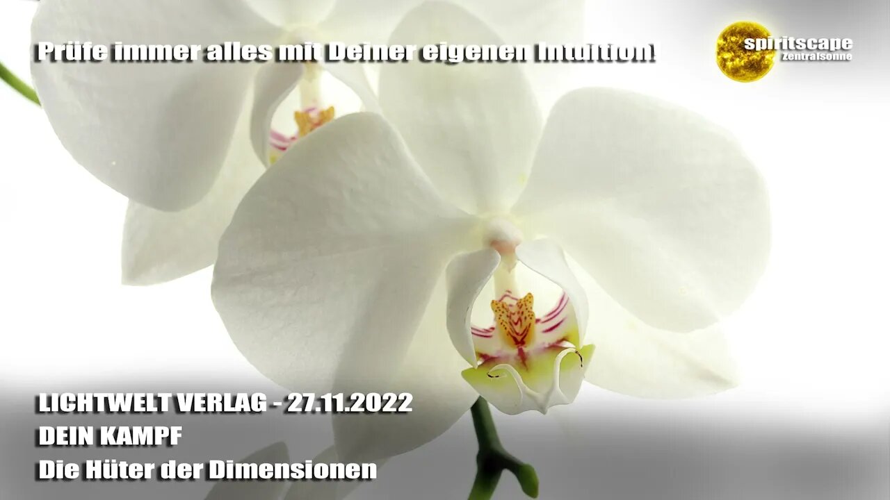 DEIN KAMPF - Die Hüter der Dimensionen ~ LWV