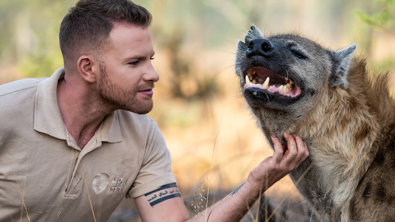 How Hyenas Are Trained For Movies | BIG CAT LIFE