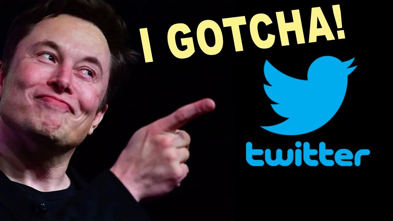 Elon Musk SpaceX Starlink Tesla And Now Twitter