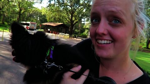 Dog first visit to Disney !! Super excited !!