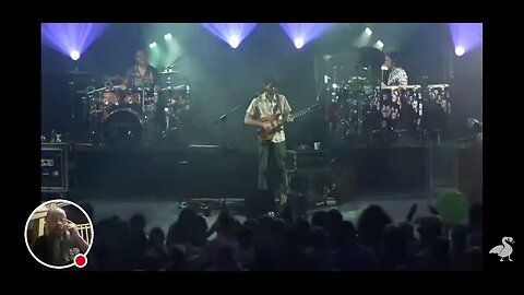 yardism live w/Goose