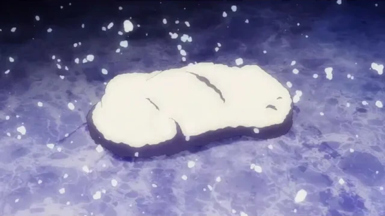 They Have Collected 300 Rabbit Pallets