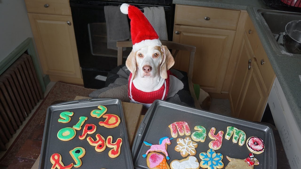 Dog Makes Christmas Cookies Funny Dog