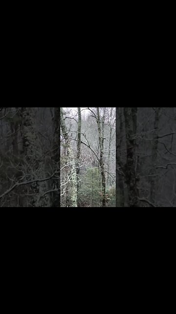 Soft snow in the mountains, peaceful music #shorts ￼